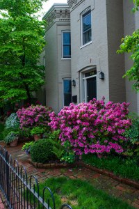Townhome with lush landscaping near Fairfax County, VA
