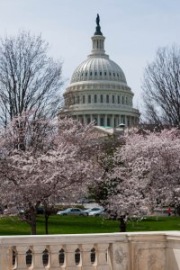 US Capitol where the Good Faith Estimate was created as part of the Consolidated Appropriations Act